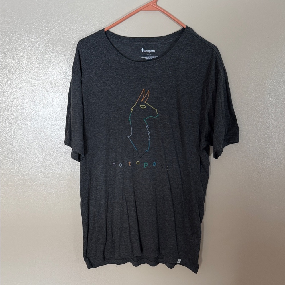 Cotopaxi Men's Charcoal Tee with Colorful Llama Design